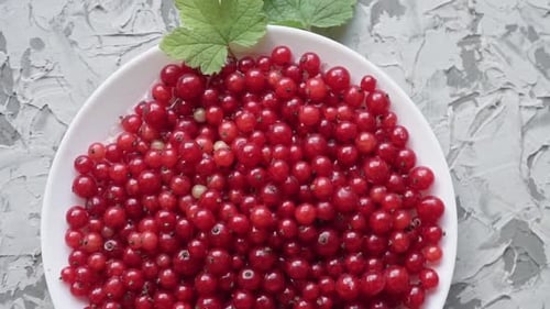 Baies de groseilles rouges fraîches sur une assiette blanche sur fond gris béton Ralenti