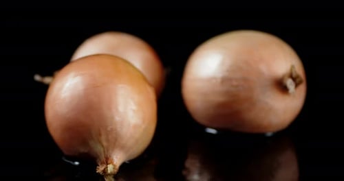 Fresh Onion Lies on the Water.