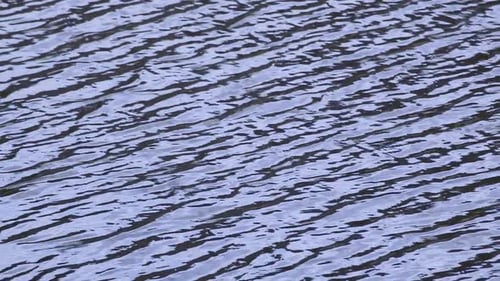 Gentle Waves Creating Texture on Water's Surface