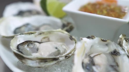 Close Up of Oysters on Ice with Lime