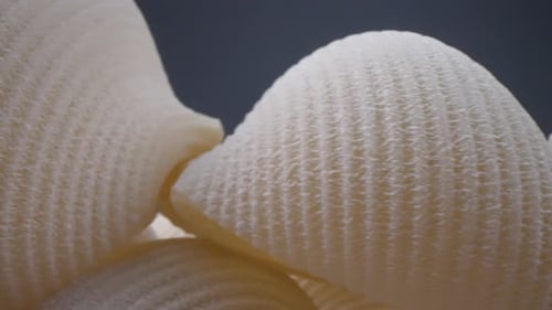 White Round Pasta