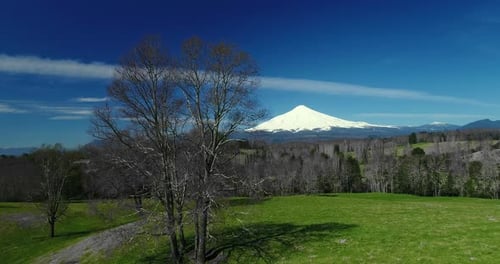 Voler par un arbre vers un volcan, paysage surréaliste, fond rêveur, titre : ciel bleu nuageux