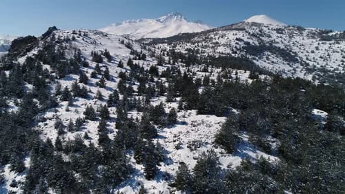 Aerial View of Snow Covered Mountains and Trees
