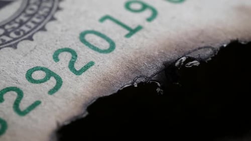 Burned dollar