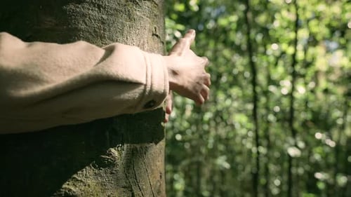 Closeup hands of woman hugging tree in forest, Nature conservation, environmental protection.