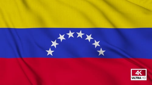 Venezuelan Flag Waving Seamless Loop