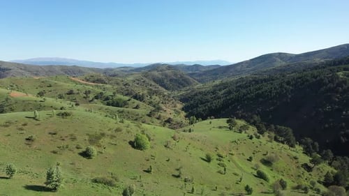 Aerial View Of A Wooded And Green Valley
