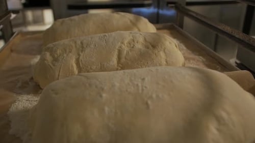 Raw Bread Dough Loaves Ready for Baking