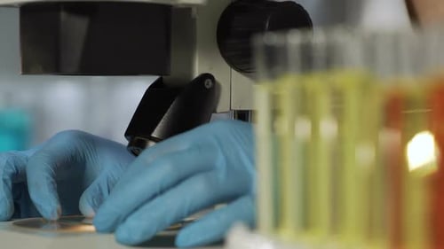 Microscope Analysis with Liquids in Test Tubes