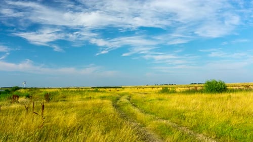 Meadow on the banks of the Vistula river