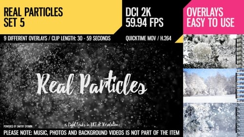 Echte Partikel (HD Set 5)