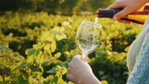 Pouring Wine Into a Glass on the Background of the Vineyard