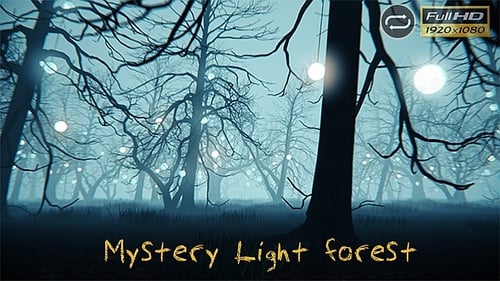 Mystery Lights Forest V1