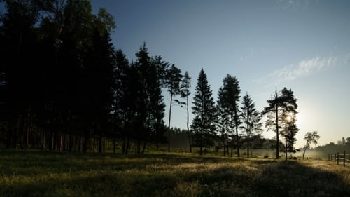 Morning In The Forest, The Movement Of The Sun