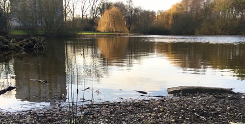 Der See