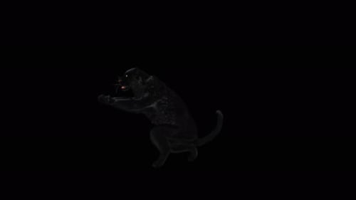 81 Panther Standing Magic Attack 4K
