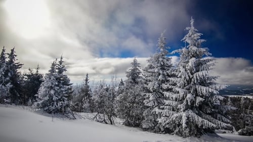 Eine starke Wintersonne