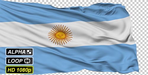 Realistic Waving Argentina Flag Animated Clip