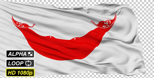 Easter Island Rapa Nui Flag Waving Seamless Loop
