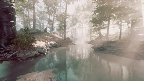 Pond in a Forest with Fog