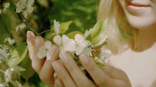 Woman Touching White Flowers In The Spring Park