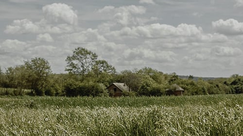 Rural Landscape