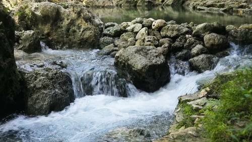 River Stream In The Tropical Forest.