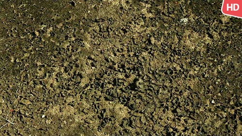 Earth Soil Texture 0040