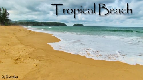 Tropischer Strand