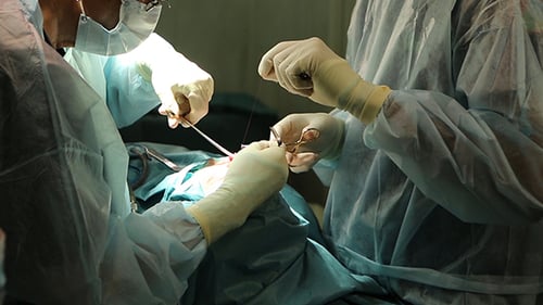 Surgeons Performing Delicate Operation in Hospital