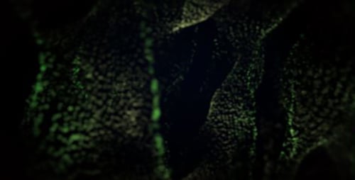 Green Particle Waves