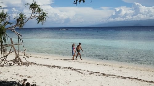 Happy Couple Walking on A Tropical Beach