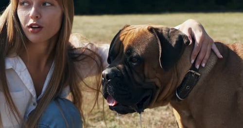 Woman Pets Large Dog Affectionately in Sunny Field