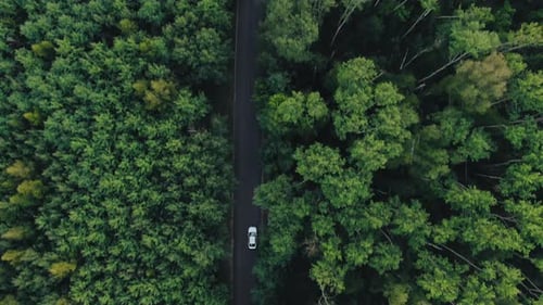 Aerial Top Down View of White Car Driving