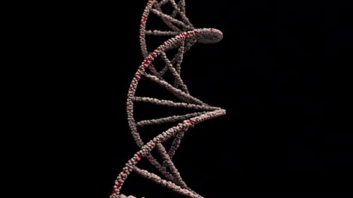 DNA-Alpha-Schleife
