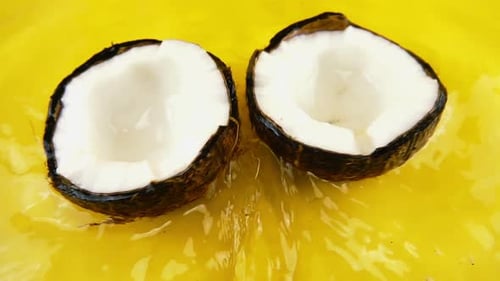 Fresh Coconut Halves in Tropical Setting