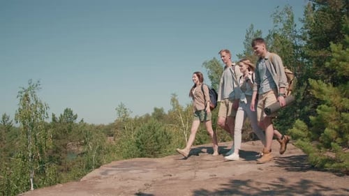 Adventurous Friends Hiking in Nature on Sunny Day