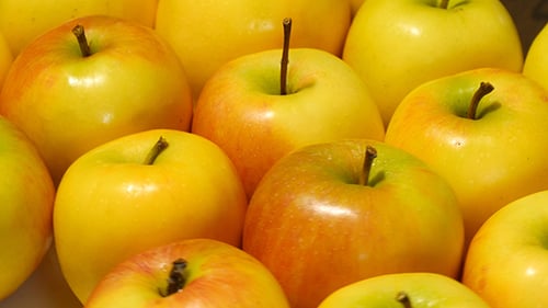 Rotierende gelbe Äpfel