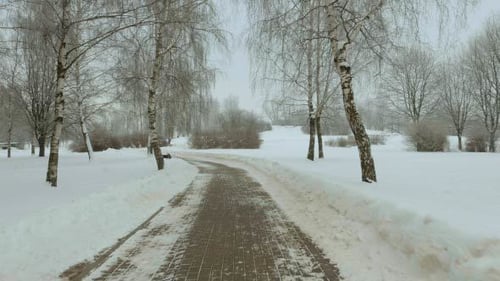 Walkway in the Winter Park