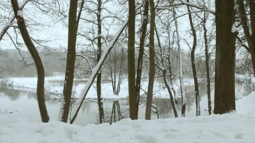 Along the Winter River