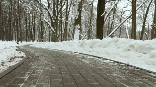 On the Winter Walkway
