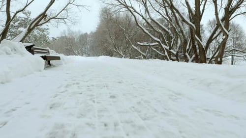 Snowy Path Through Winter Park Landscape