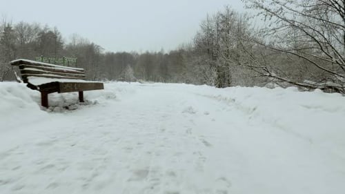 Slow Walking in the Winter Park