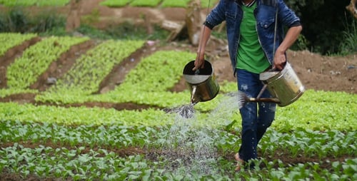 Gardening