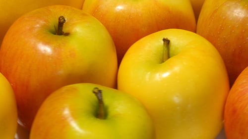 Yellow Apples Rotating