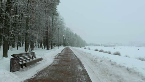 Snowy Park