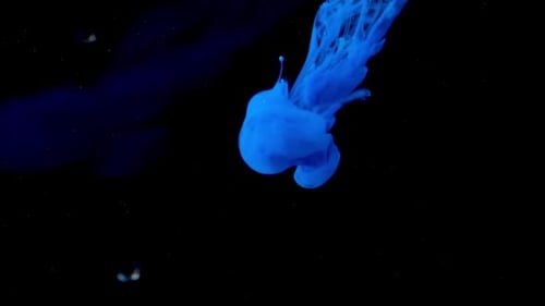 Blue Ink Swirling on a Black Background