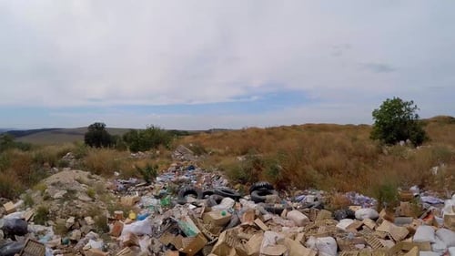 Basurero en arbustos crecidos