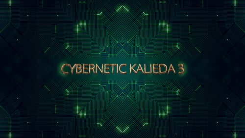 Kybernetik Kaleida 3