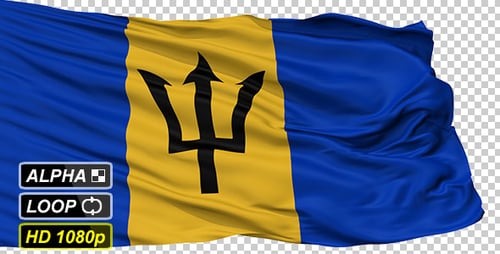 Waving Barbados Flag Animation for National Representation